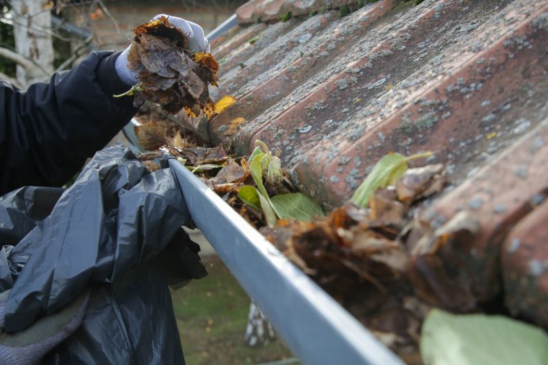 Professional Gutter Service Scheduling