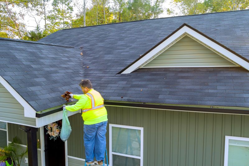 Roofing and Gutter Maintenance