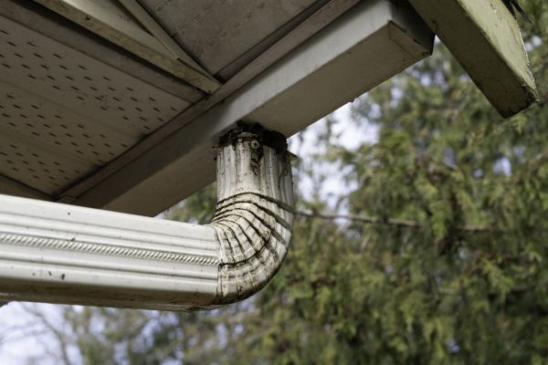 Roof Drain Replacement in Clarkston